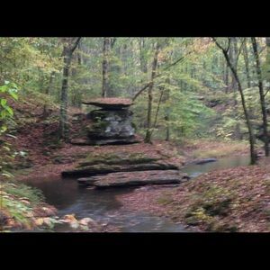 Meet your Posher, Sherry